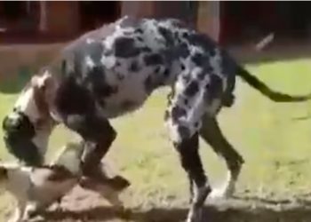 Esse-é-um-resumo-de-um-relacionamento-a-distância