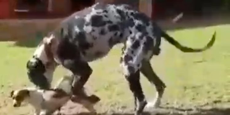 Esse-é-um-resumo-de-um-relacionamento-a-distância