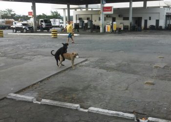 Tudo tranquilo nos postos de combustível. Sem fila.
