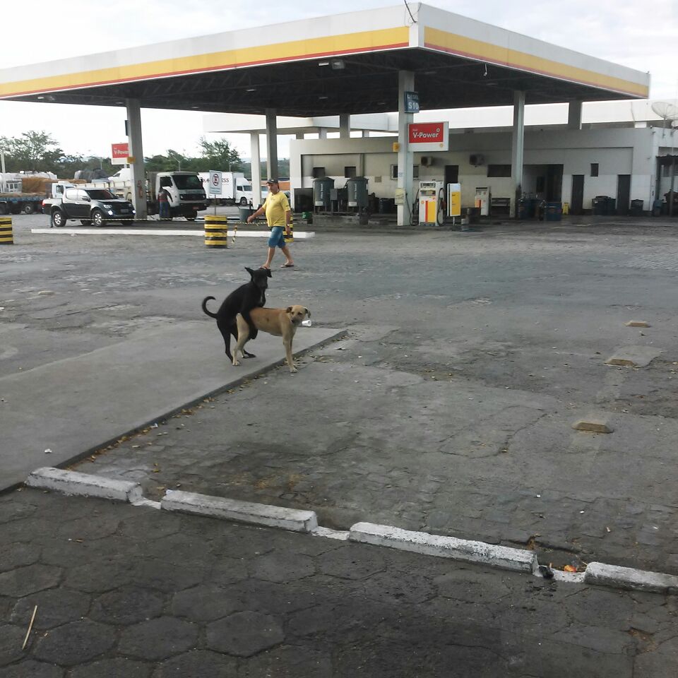 Tudo tranquilo nos postos de combustível. Sem fila.