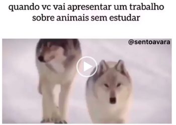 Quando você vai apresentar um trabalho sobre animais sem estudar.