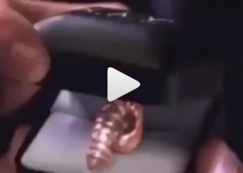 Dia dos Namoradas: Presente ideal para presentear seu amor.