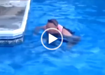 Espécie desconhecida. Parece uma foca ou baleia?