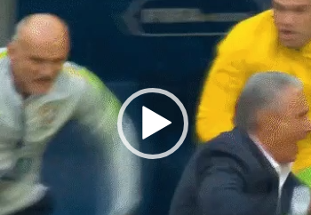 Exato momento que o Tite é empurrado e cai no campo.