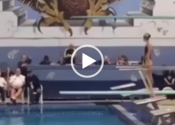 Que belo mergulho! Nota 10 com certeza.