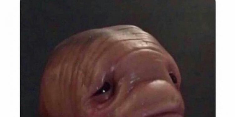 Seu pau vendo você abrir o Xvideos pela 4ª vez no dia