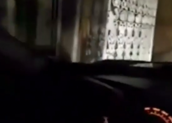 É para isso que eu pago a Internet