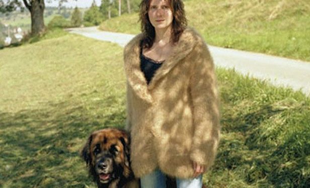 Casaco de pelos de cachorro