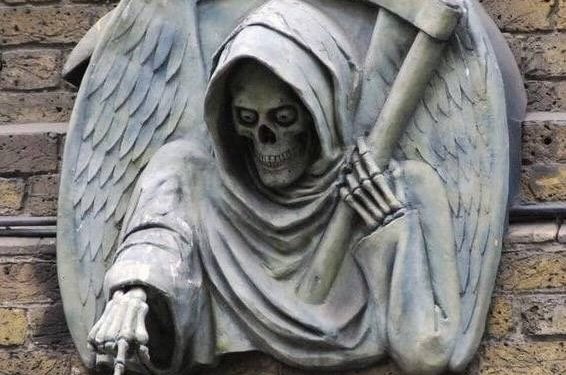 Aquele salgado ali é de que?