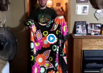 Fails do desafio do Lençol com animais #WhatTheFluffChallenge