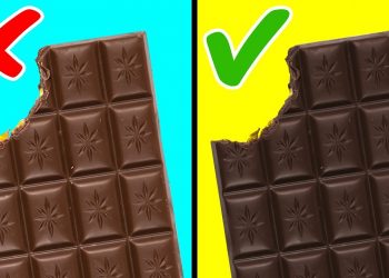 10 Alimentos Ricos em Gordura que são saudáveis