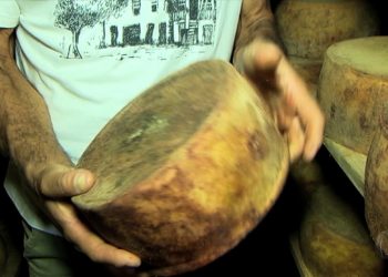 Queijo fabricado no Brasil que ganhou prêmio internacional.