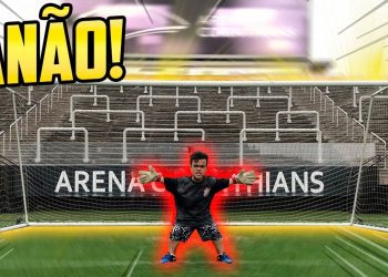 Anão de goleiro em estádio profissional.