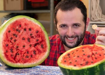 Como abrir uma melancia com uma moeda