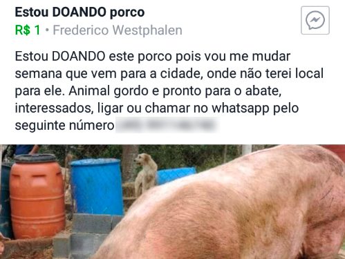 Doação de Porco no Facebook com telefone de contato do amigo. Olha essa pegadinha hahaha