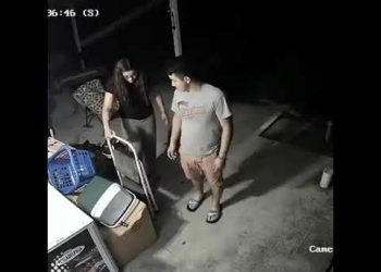 Casal se assusta com um sapo e cãozinho volta para salvar seu brinquedo