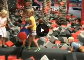 Não perdoou nem o irmão pequeno.