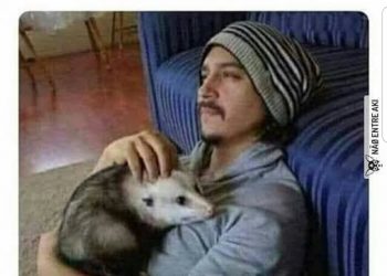 Hobby fumar maconha e recolher cachorro de rua