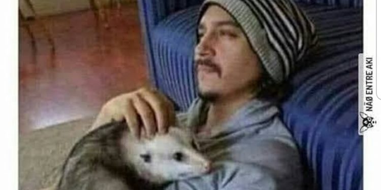 Hobby fumar maconha e recolher cachorro de rua