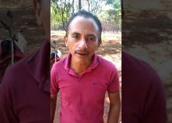 ‘Caneta Azul, Azul Caneta’: O que é? Da onde surgiu?